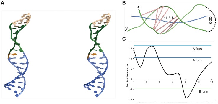 FIGURE 4.