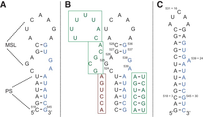 FIGURE 1.