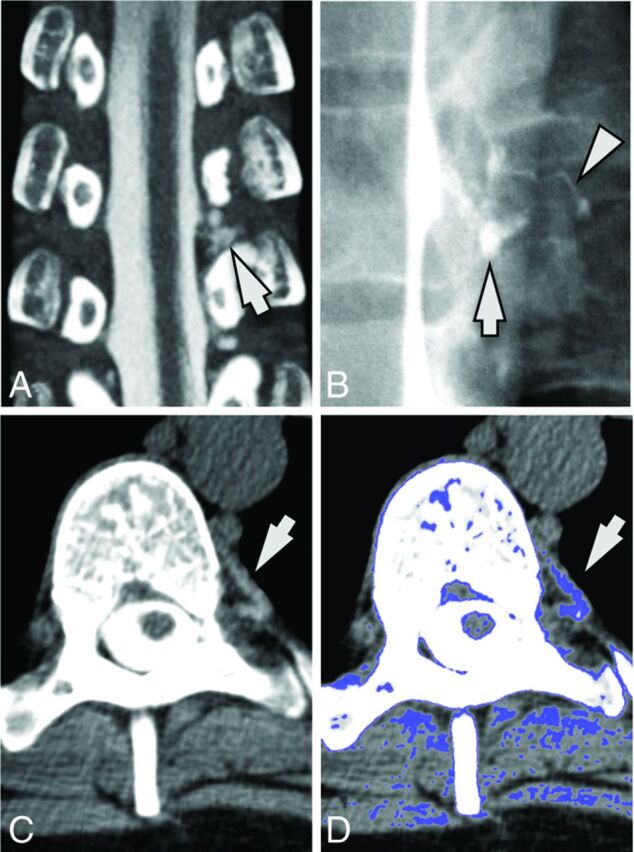 Fig 1.