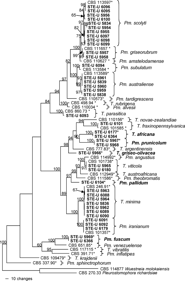 Fig. 2