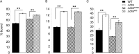 Fig 5