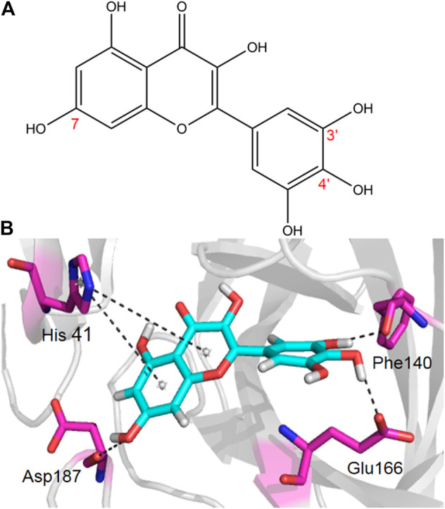 FIGURE 2