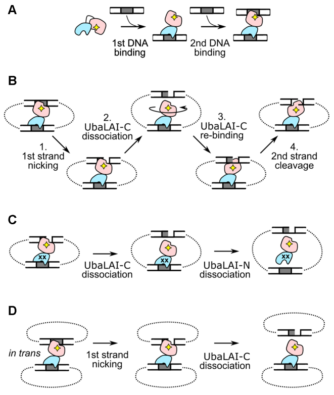 Figure 7.