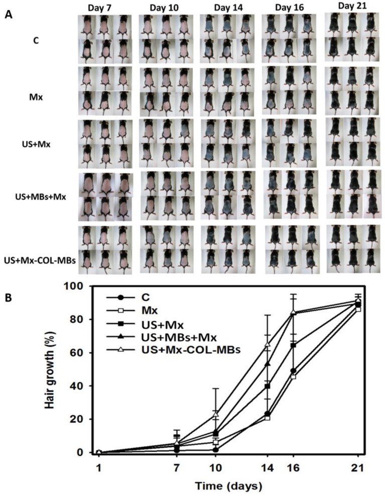 Figure 10