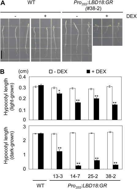 Figure 7.