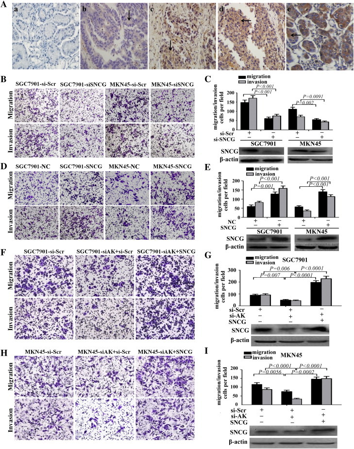 Figure 6