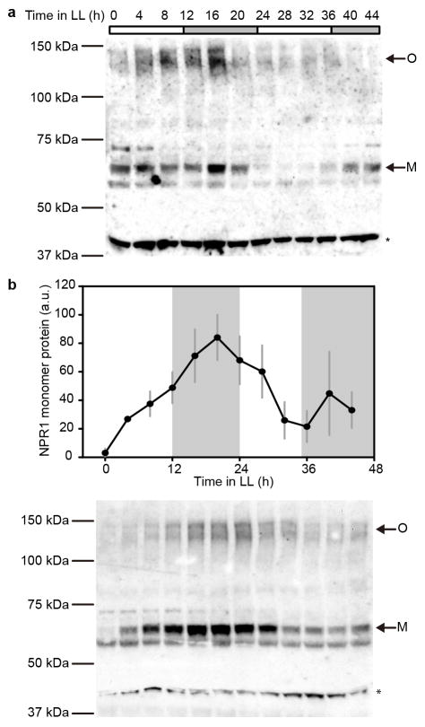 Extended Data Figure 4