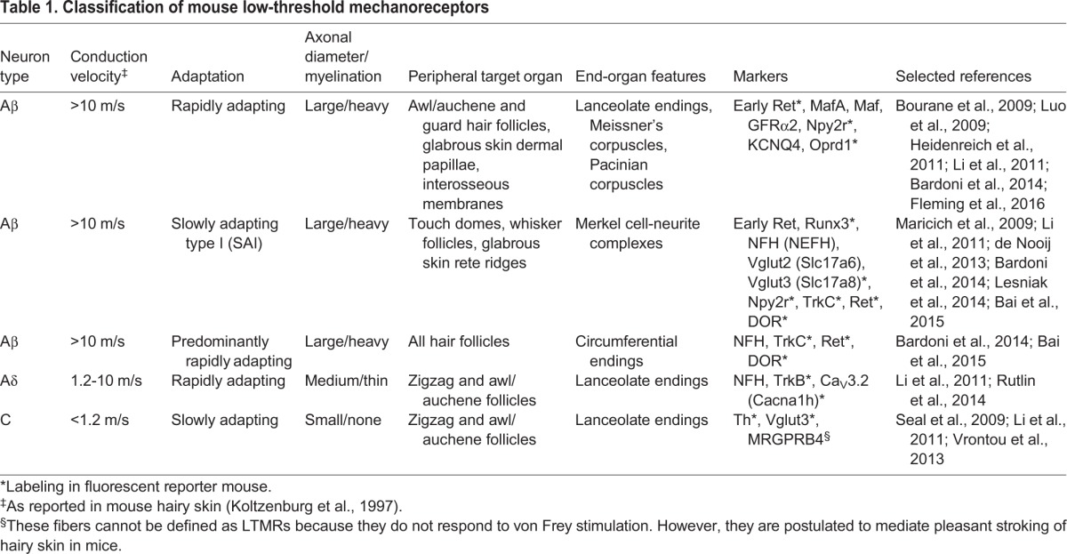 graphic file with name develop-144-120402-i1.jpg