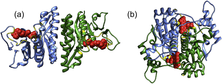 Fig. 1