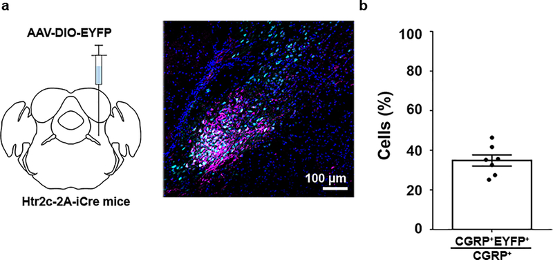 Extended Data Fig. 6: