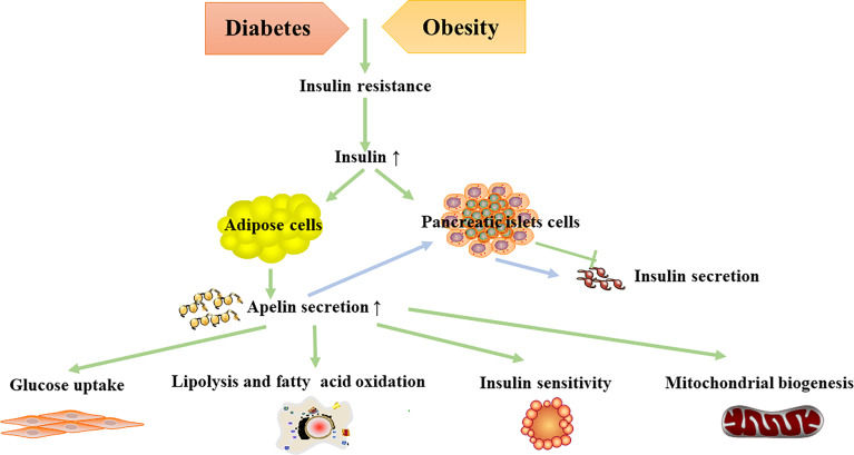 Figure 2