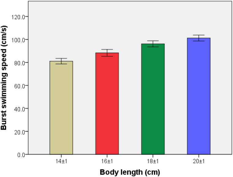 Fig. 11