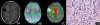 Fig. 5.