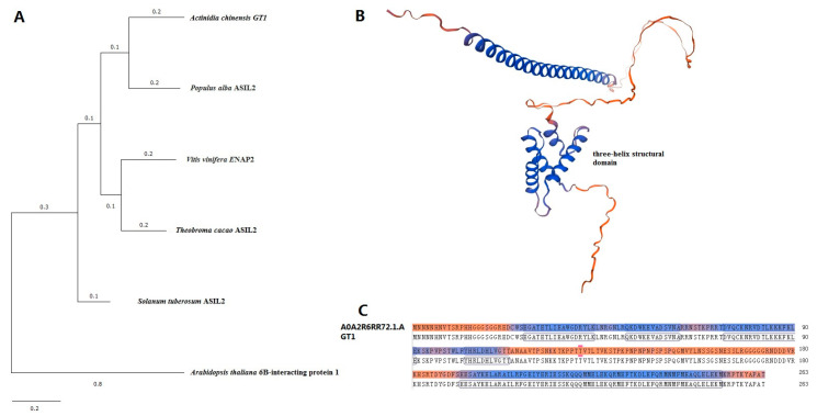 Figure 2