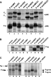 FIG. 2.