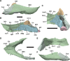 Figure 16