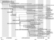 Figure 23