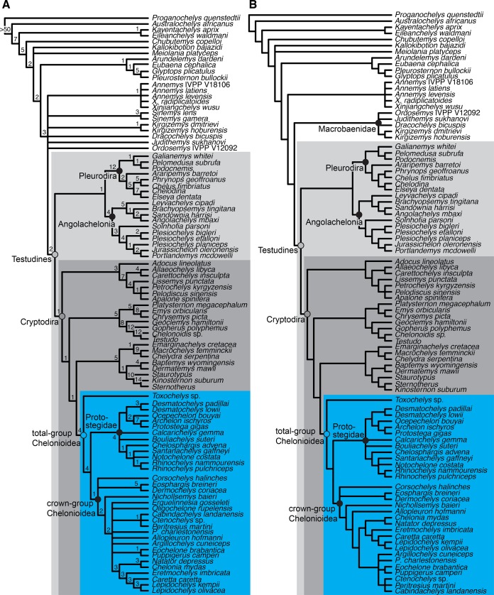 Figure 18