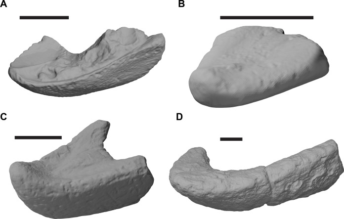 Figure 21