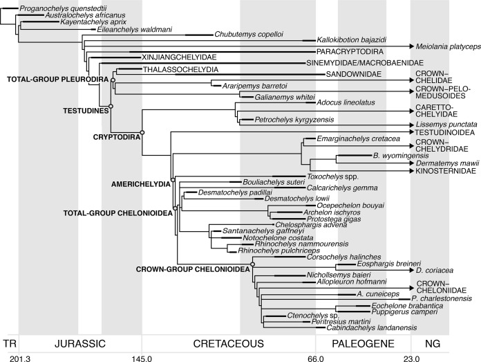 Figure 23