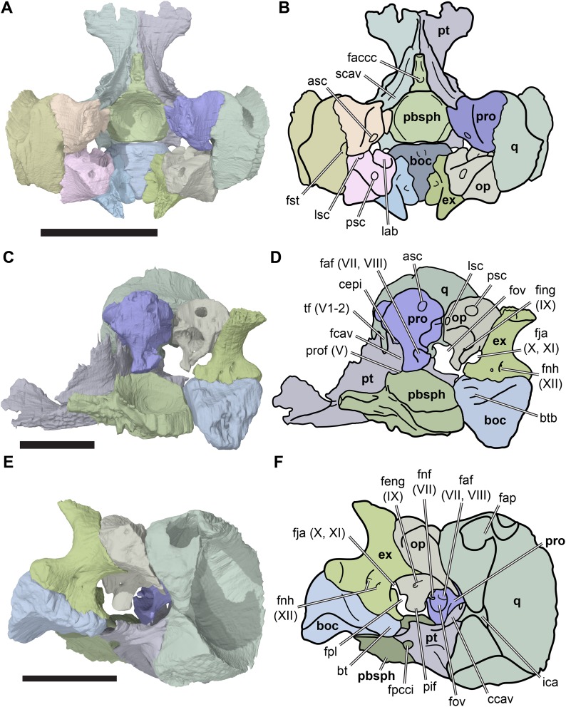 Figure 15