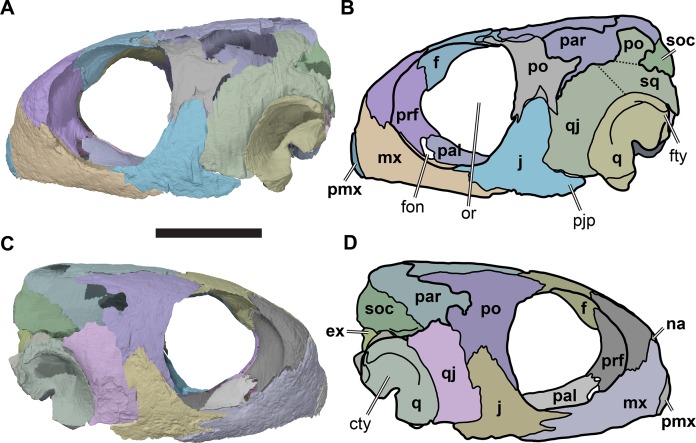 Figure 2