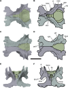Figure 13