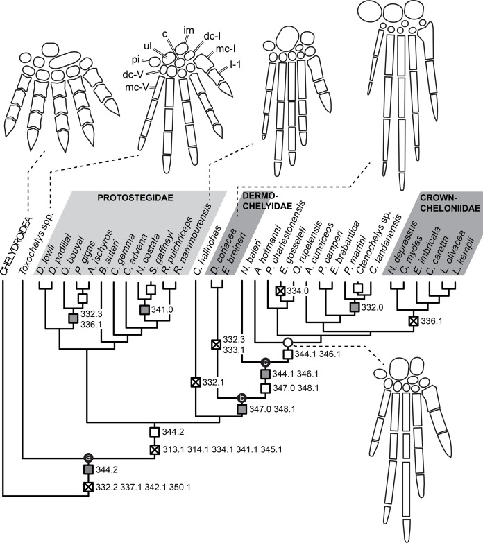 Figure 24