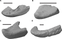 Figure 21