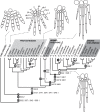 Figure 24