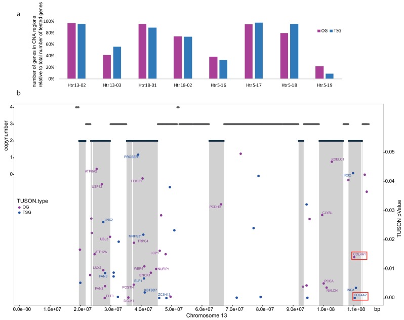 Figure 5—figure supplement 1.