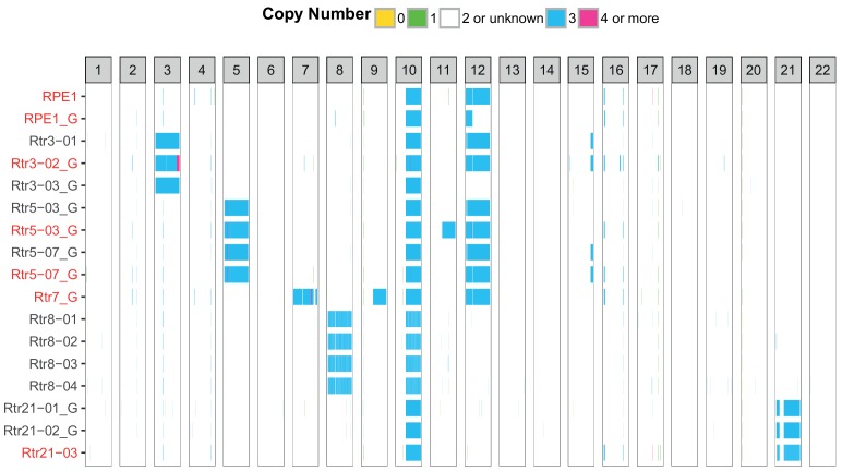 Figure 1—figure supplement 2.