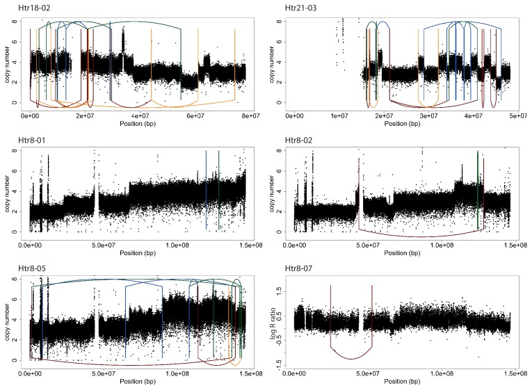 Figure 1—figure supplement 3.