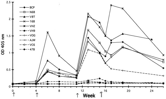 FIG. 4