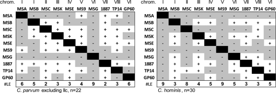 FIG. 4.