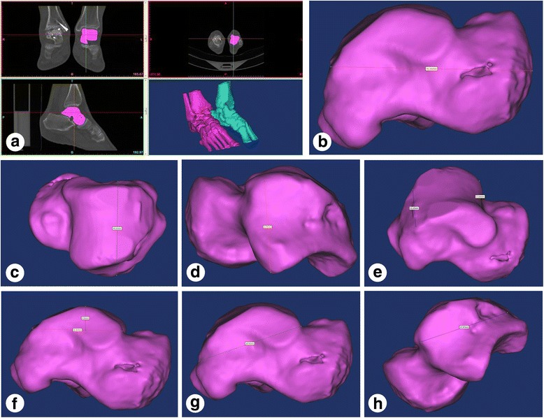 Fig. 4