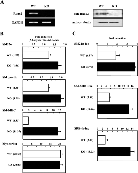 FIG. 3.