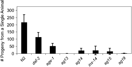 Figure 4.—