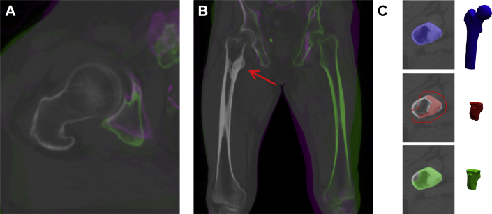 Fig. 1