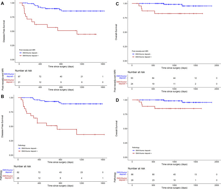 Survival analyses using the Kaplan-Meier curve. (A) Disease-free survival based on extramural venous invasion (EMVI) and tumor deposit at postneoadjuvant MRI, and (B) disease-free survival based on EMVI and tumor deposit at pathology. Survival analyses using the Kaplan-Meier curve. (C) Overall survival based on EMVI and tumor deposit at postneoadjuvant MRI, and (D) overall survival based on EMVI and tumor deposit at pathology.