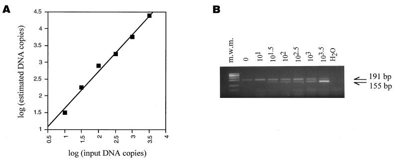 FIG. 7