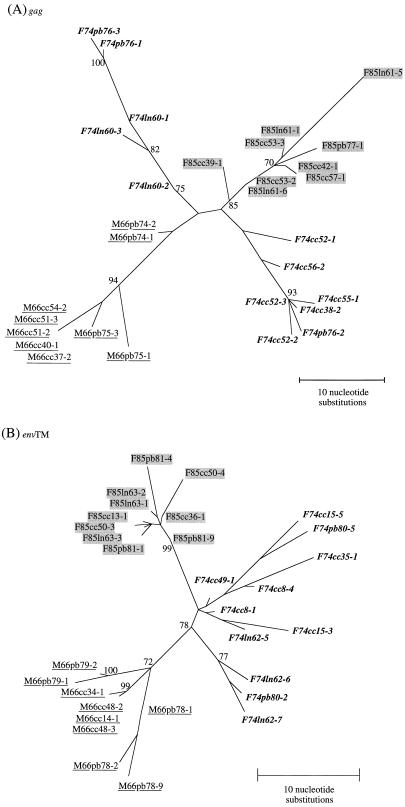 FIG. 5