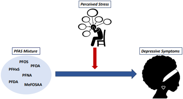 graphic file with name nihms-1991337-f0001.jpg