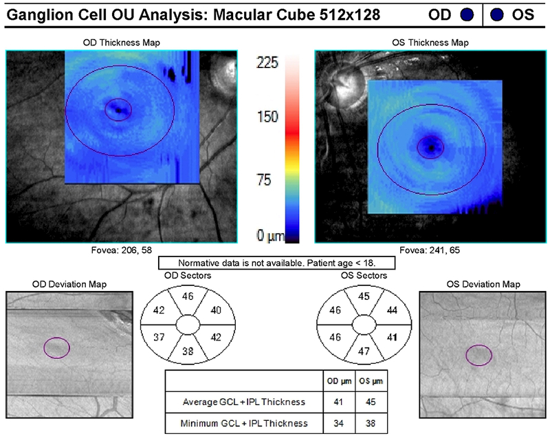 Figure 2: