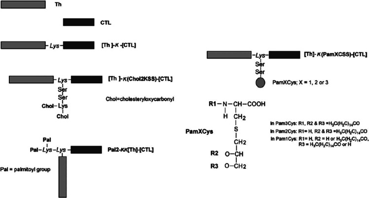 Scheme 9