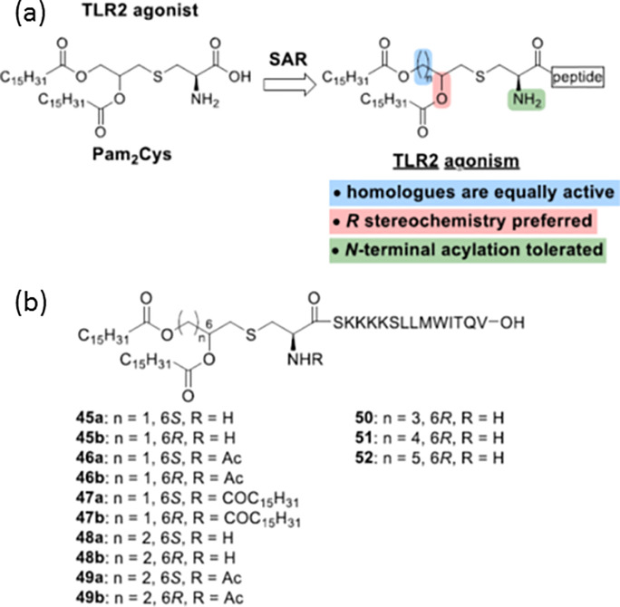 Scheme 6