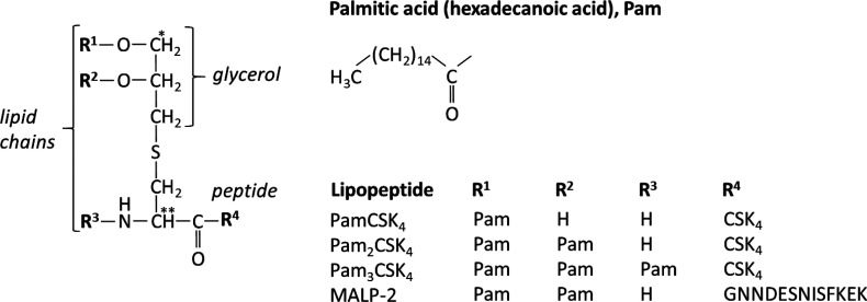 Scheme 2