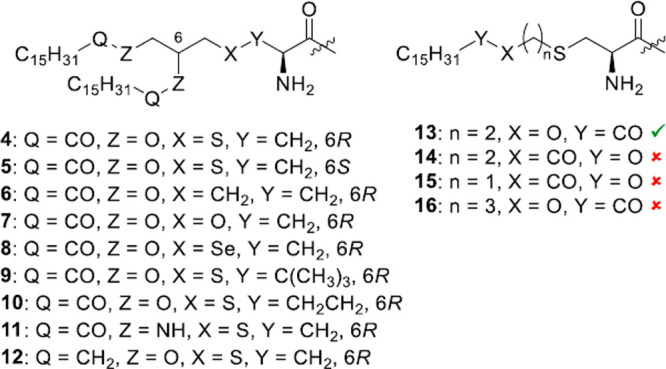 Scheme 4