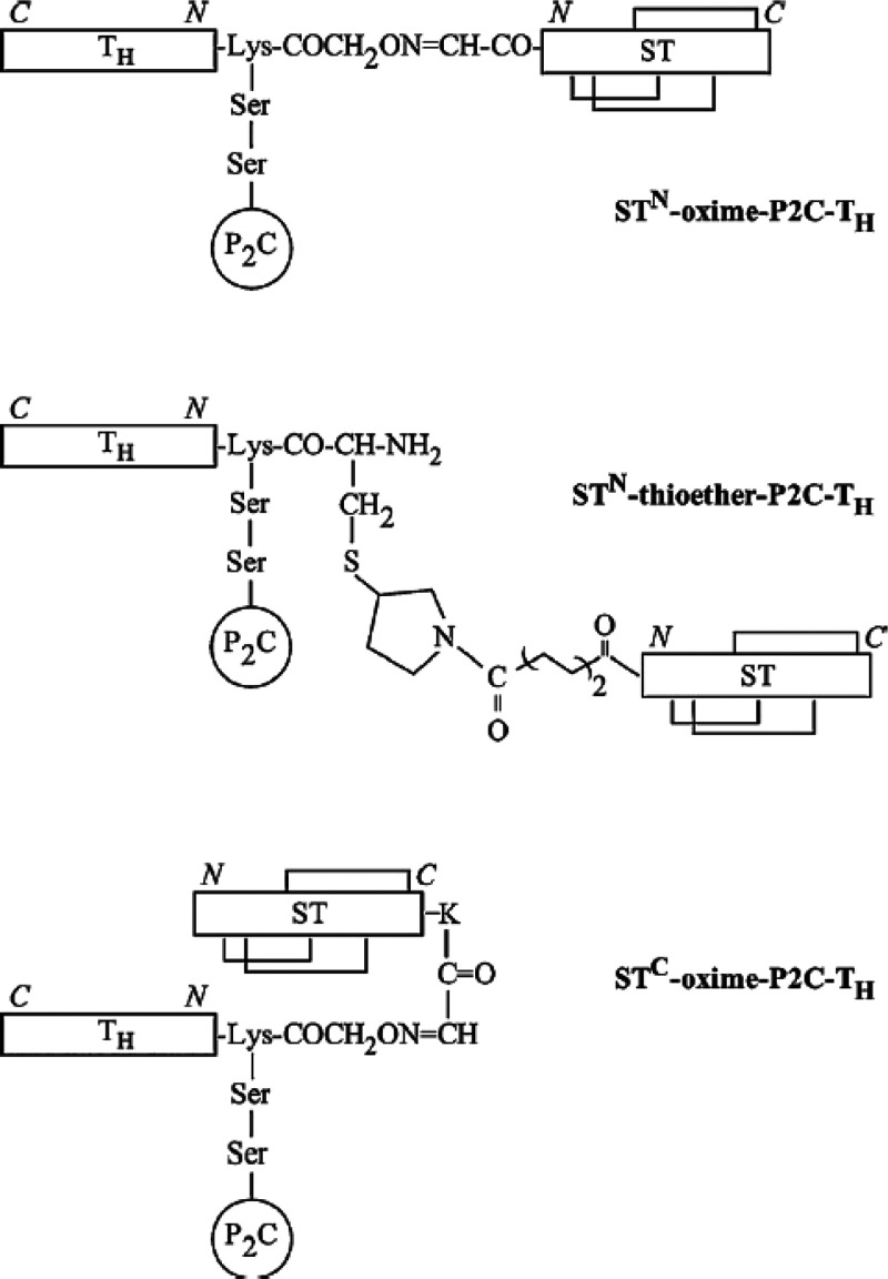 Scheme 10