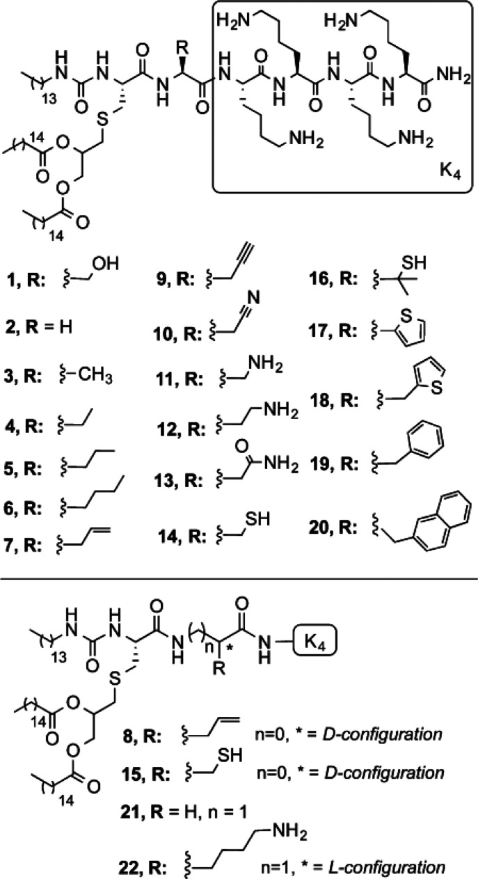 Scheme 5